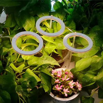 מלאך שני הטבעת לגדול אור dc 5v USB Phytolamp לצמחים LED Full Spectrum המנורה מקורה לשתול שתילים הביתה פרח