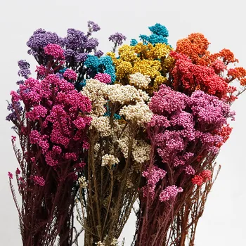 פרחים יבשים חתונה פרחים מיובשים הזר טלוויזיה שולחן קישוט ואביזרים עבור עיצוב הבית הטבעי נשמר צמחים מלאכותיים
